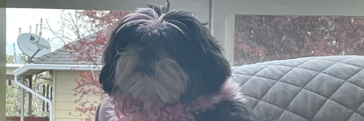 Legit_Konner's profile banner image