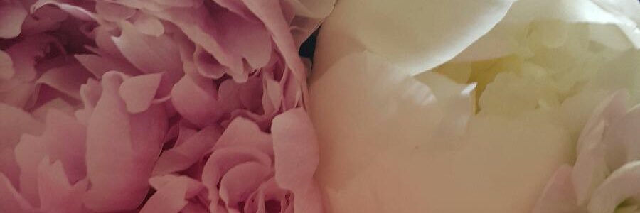 EmmyLou117's profile banner image