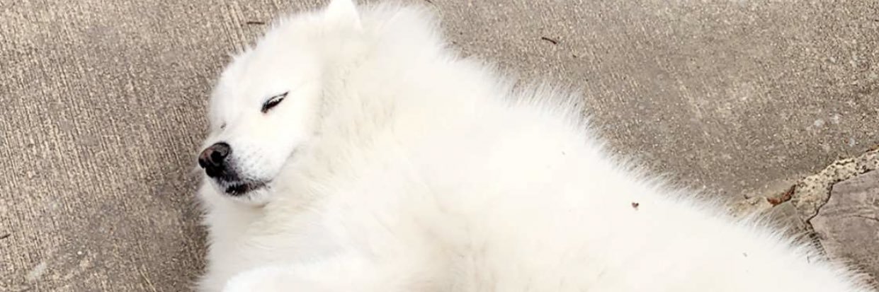 courtenaaaay's profile banner image
