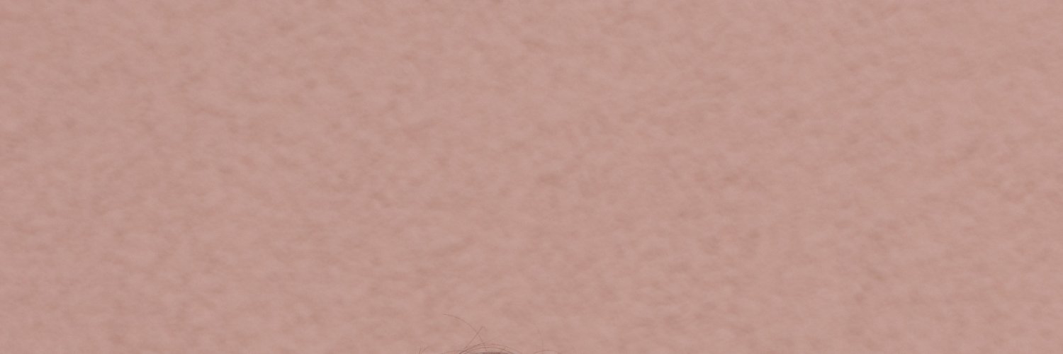 stevebylaw's profile banner image