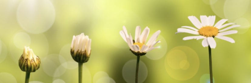 Clo_dawg's profile banner image