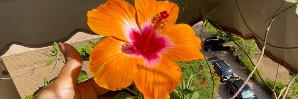 A Beautiful-Mess banner