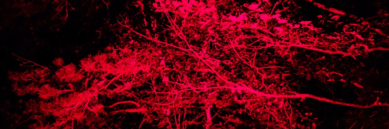 mopes72's profile banner image