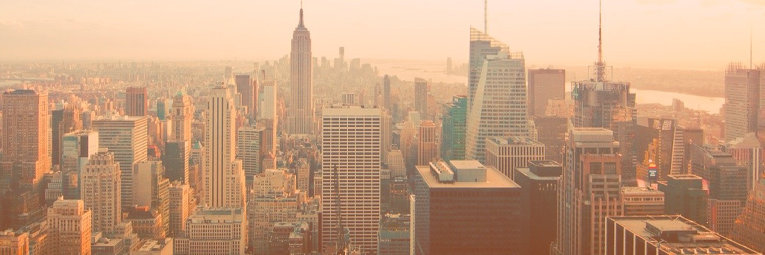 Netherlands Consulate General in NY banner