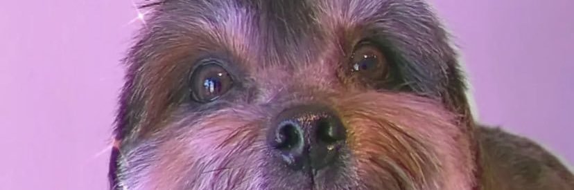 babagregorio's profile banner image