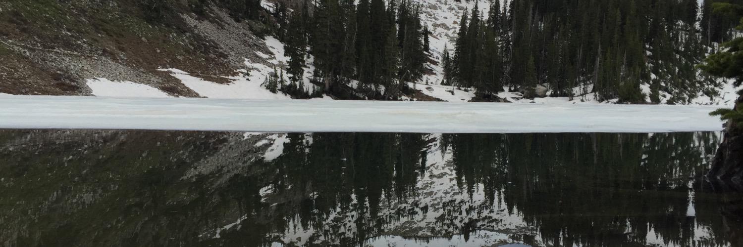 HenryTheMutant's profile banner image