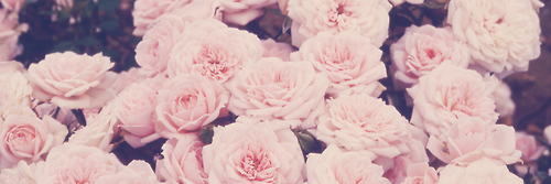 lauraescri's profile banner image