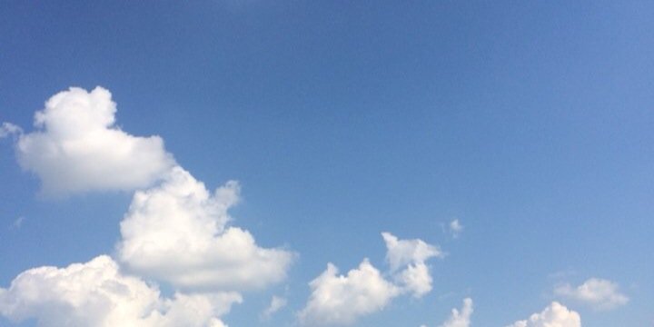thechankim's profile banner image