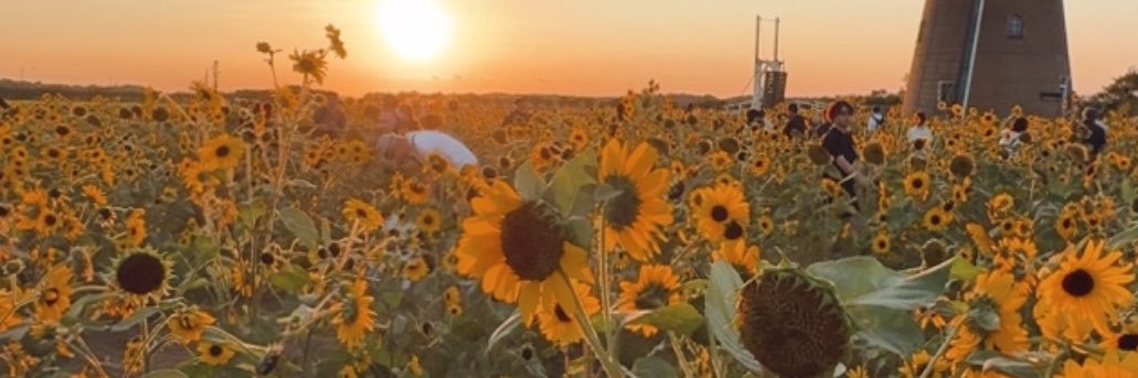 misarin1133's profile banner image