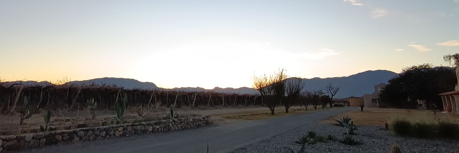 guada_blanco's profile banner image