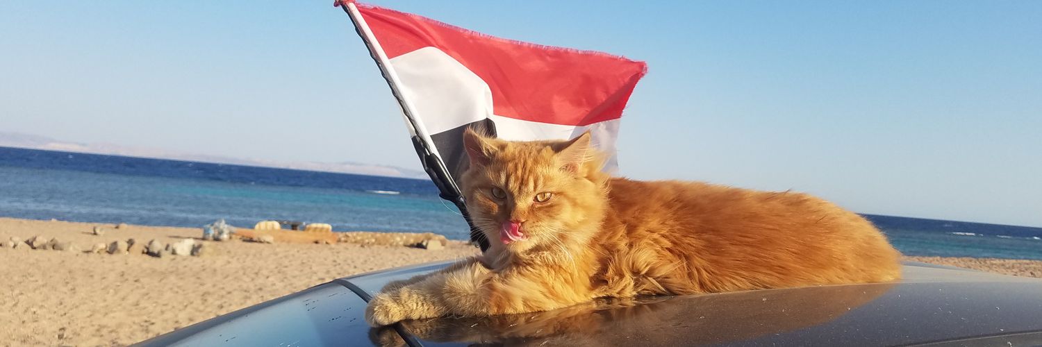 25ahmed's profile banner image