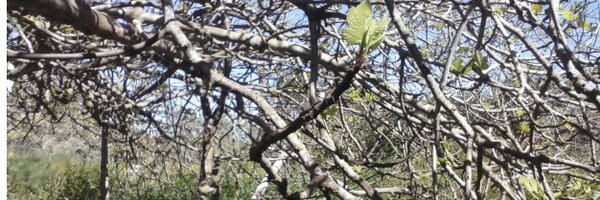 sergi_prats85 Profile Banner