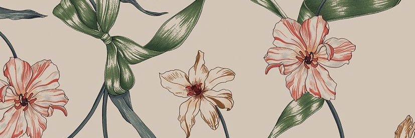 abbyraio11's profile banner image