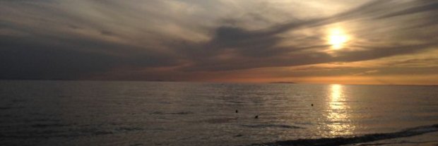 OmerAlnn's profile banner image