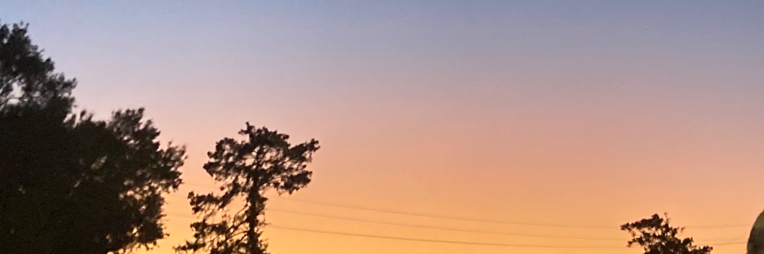 rochellwiliams's profile banner image