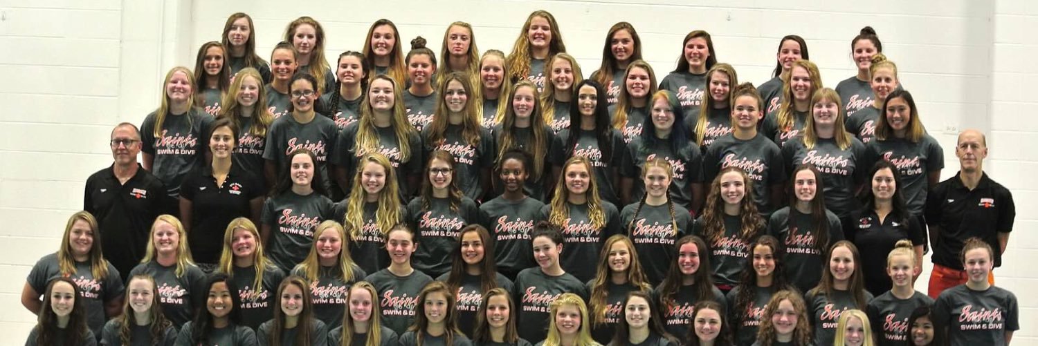 stceswimdive's profile banner image