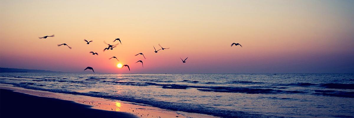 Ayoosh_Suk's profile banner image