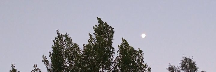 Pame_Calla's profile banner image