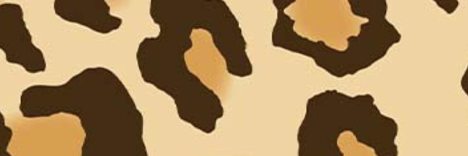 VegaaJay's profile banner image
