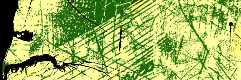 PolyInProg's profile banner image