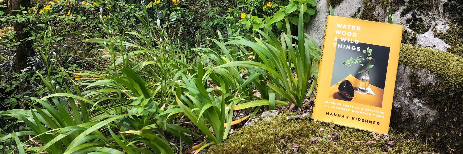 Hannah Kirshner banner