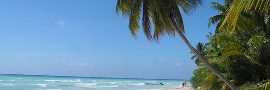 1_Wiggs's profile banner image