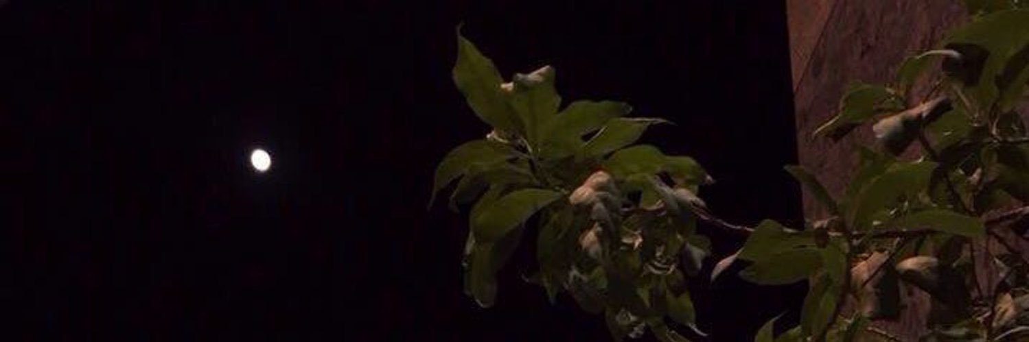 MMesh2030's profile banner image