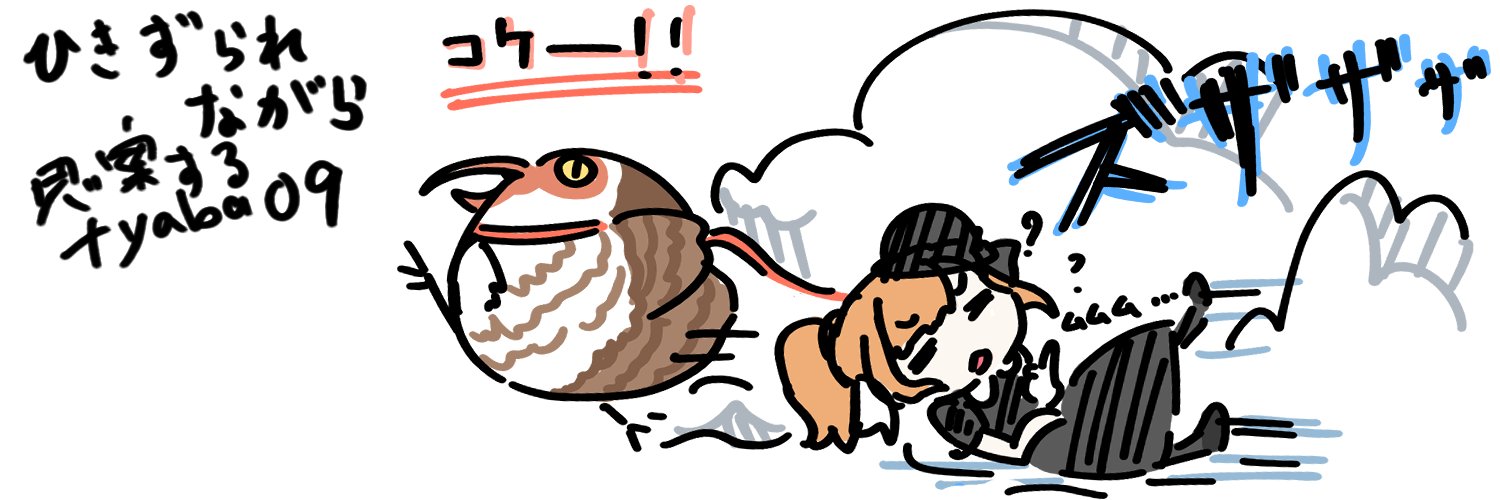 ちゃばᕙ( ˙-˙ )ᕗ banner