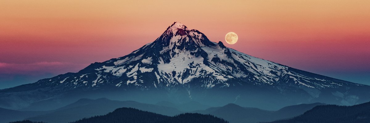 schmoopii's profile banner image
