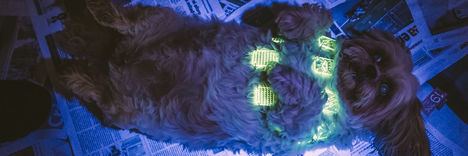 dramalexandraa's profile banner image