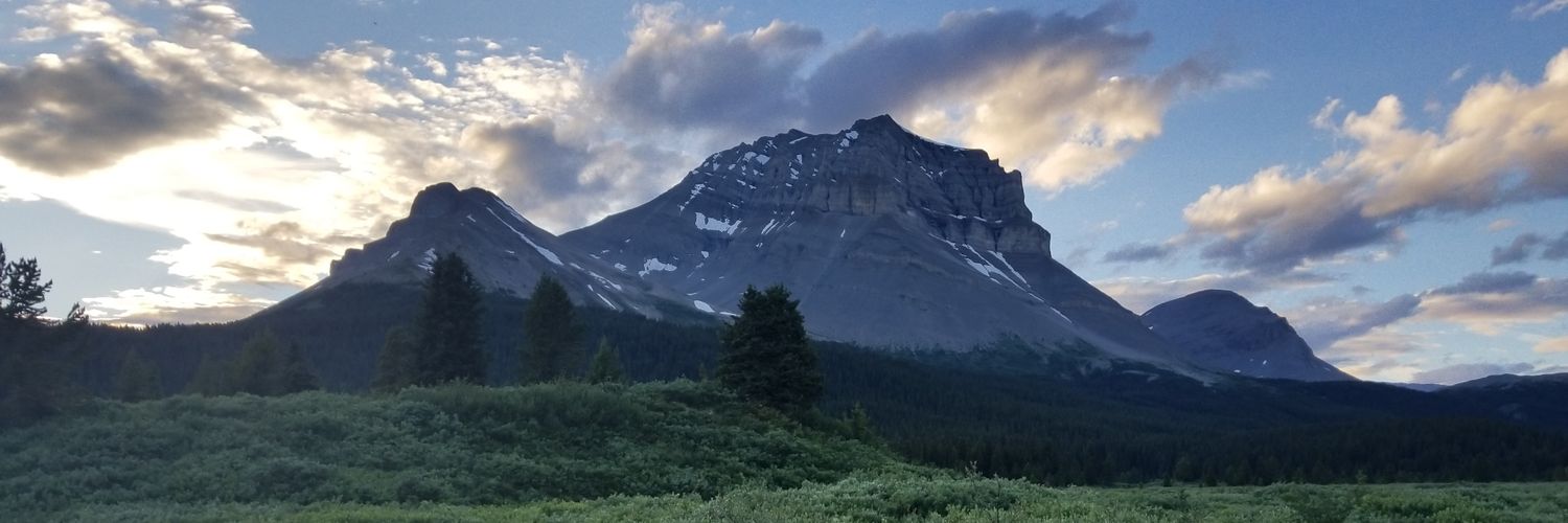 halfnotehoyt's profile banner image