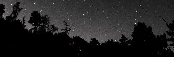 TheodoreLeaf's profile banner image