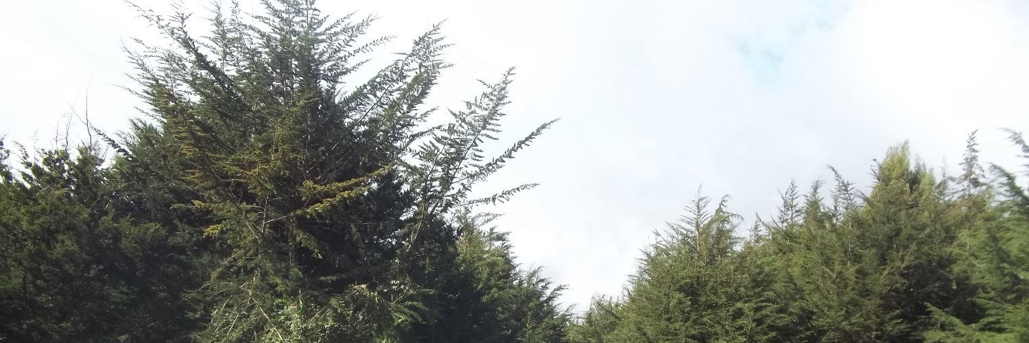 DickieGma's profile banner image