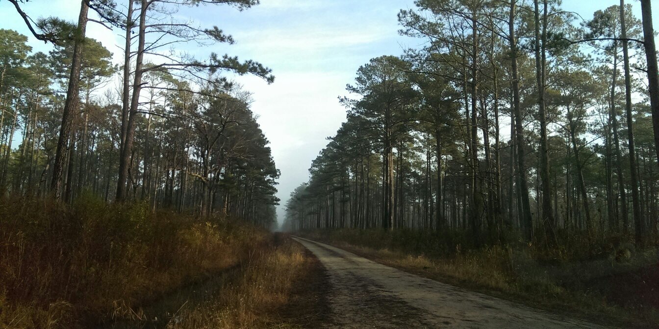 CountryT1pt0's profile banner image