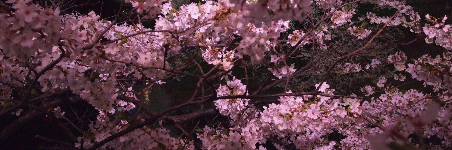 sycra55's profile banner image
