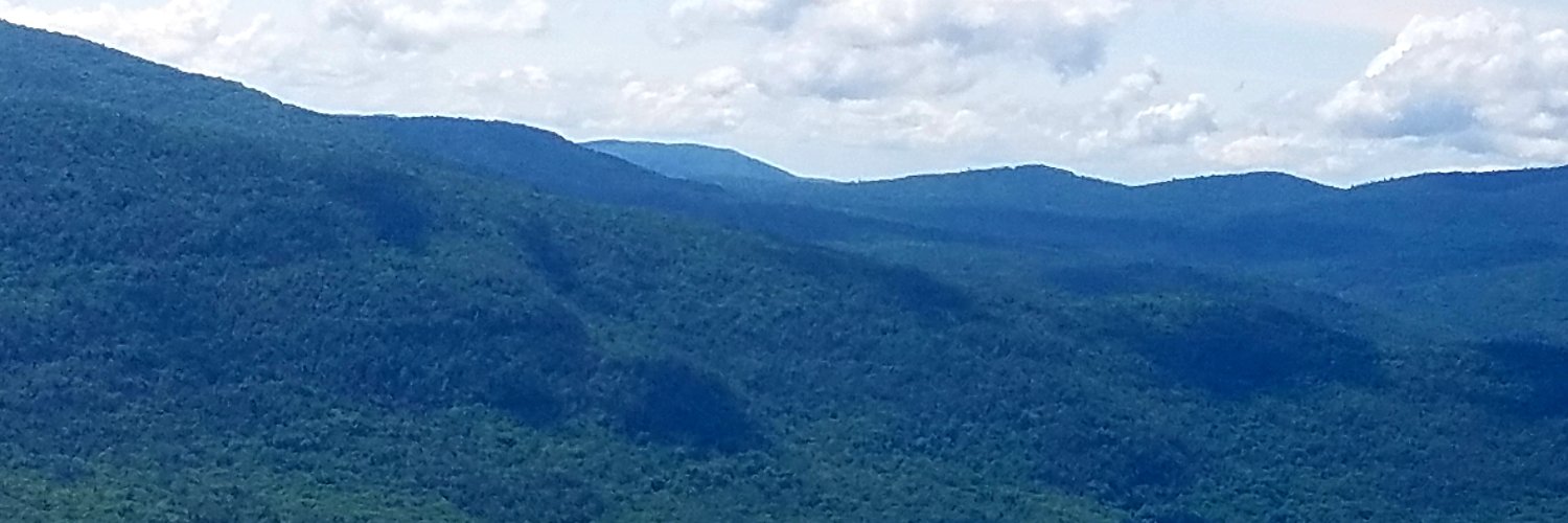 DGANewYork's profile banner image