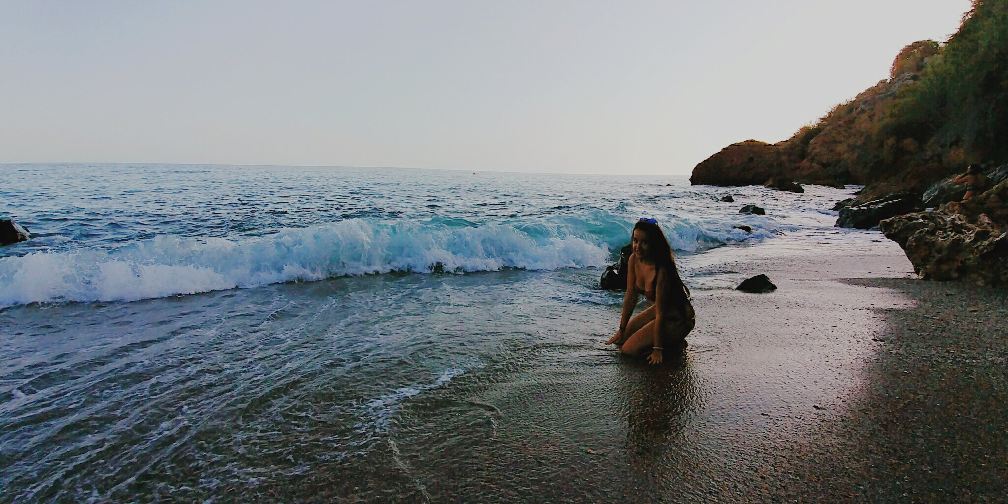 alba ferrer🌴 banner