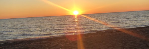 Pizzle83 Profile Banner