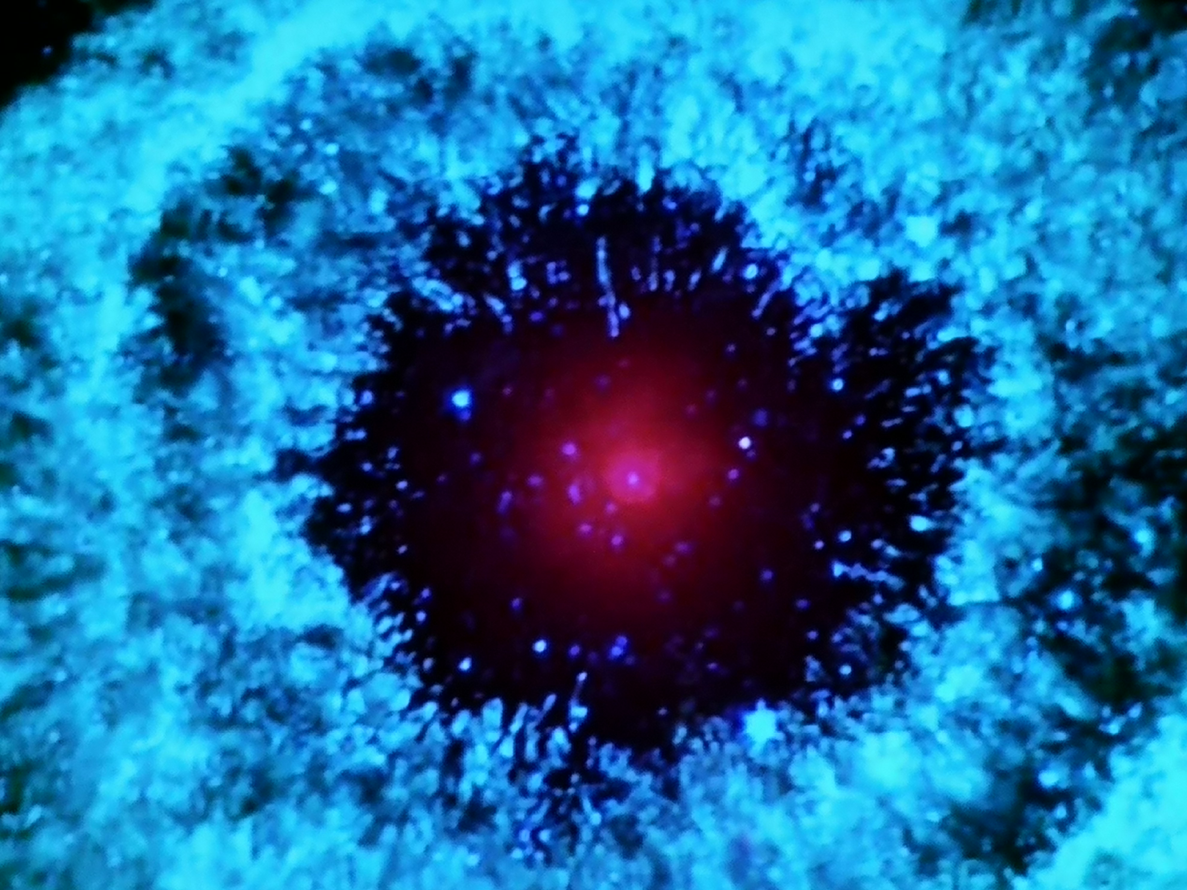 wurmIV's profile banner image