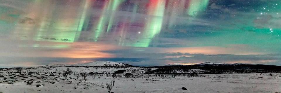 Miss_Goodway's profile banner image