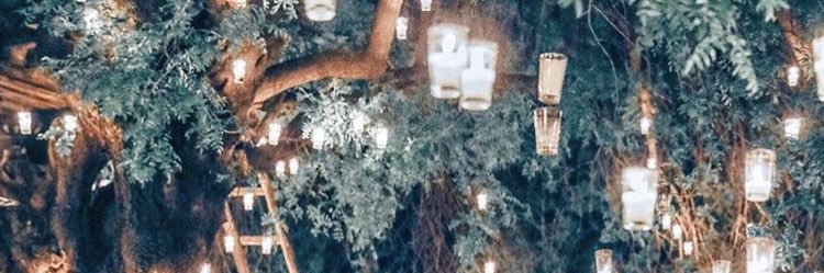 JulieSL's profile banner image
