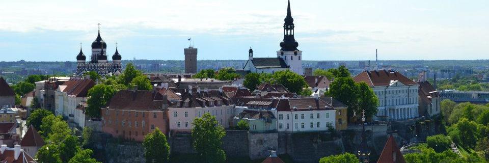 zelopol's profile banner image