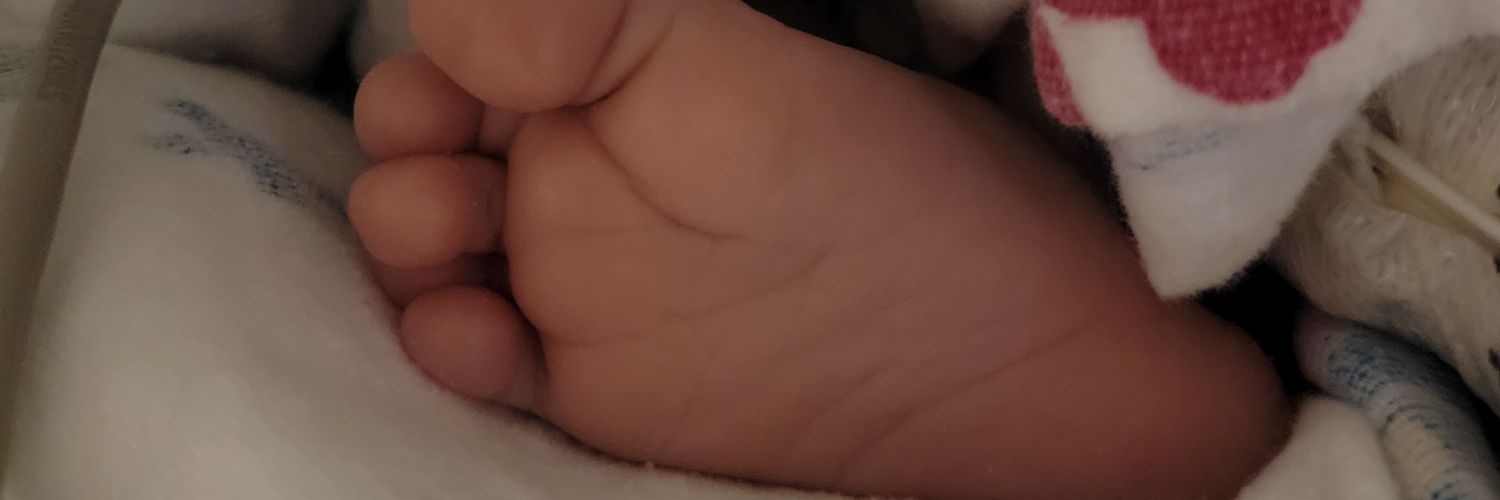 iris_044's profile banner image
