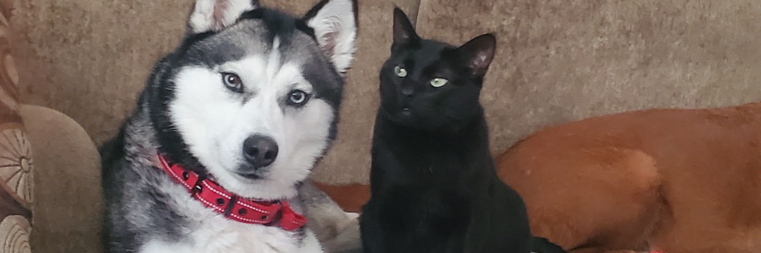 MrsGRITS's profile banner image