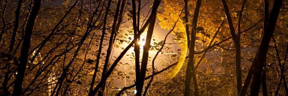 nick121792's profile banner image