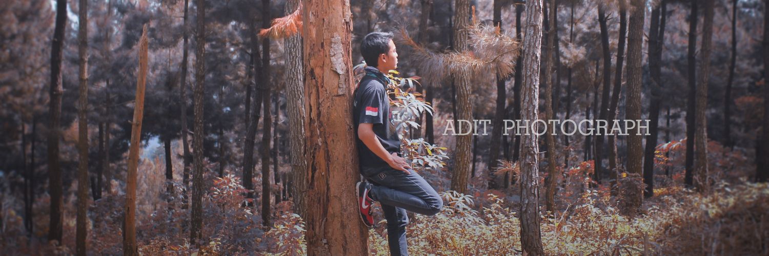 kngadt's profile banner image