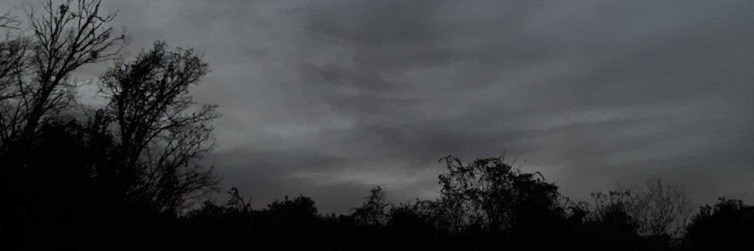 ballisticbris's profile banner image