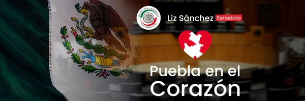 LizSanchezSM Profile Banner