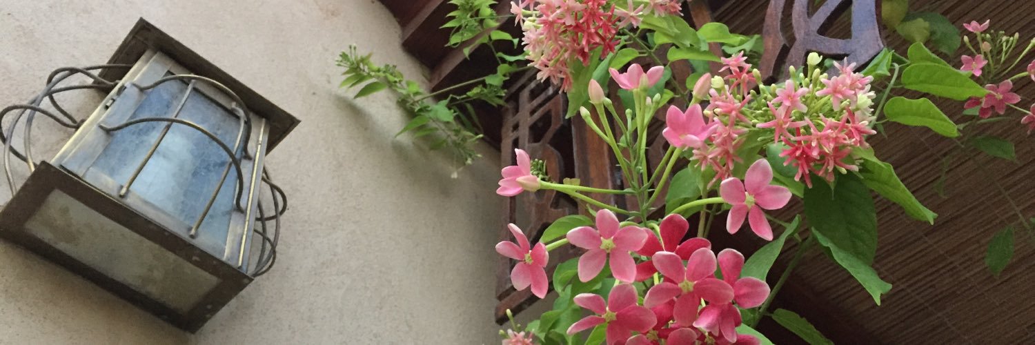 divonne213's profile banner image