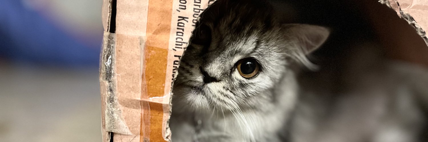 raeedistic's profile banner image